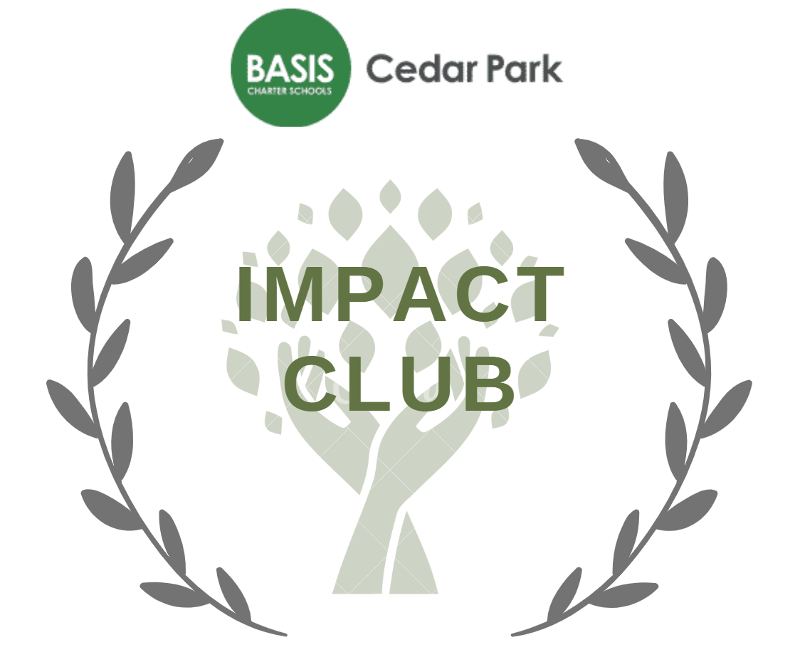 BASIS Impact Logo